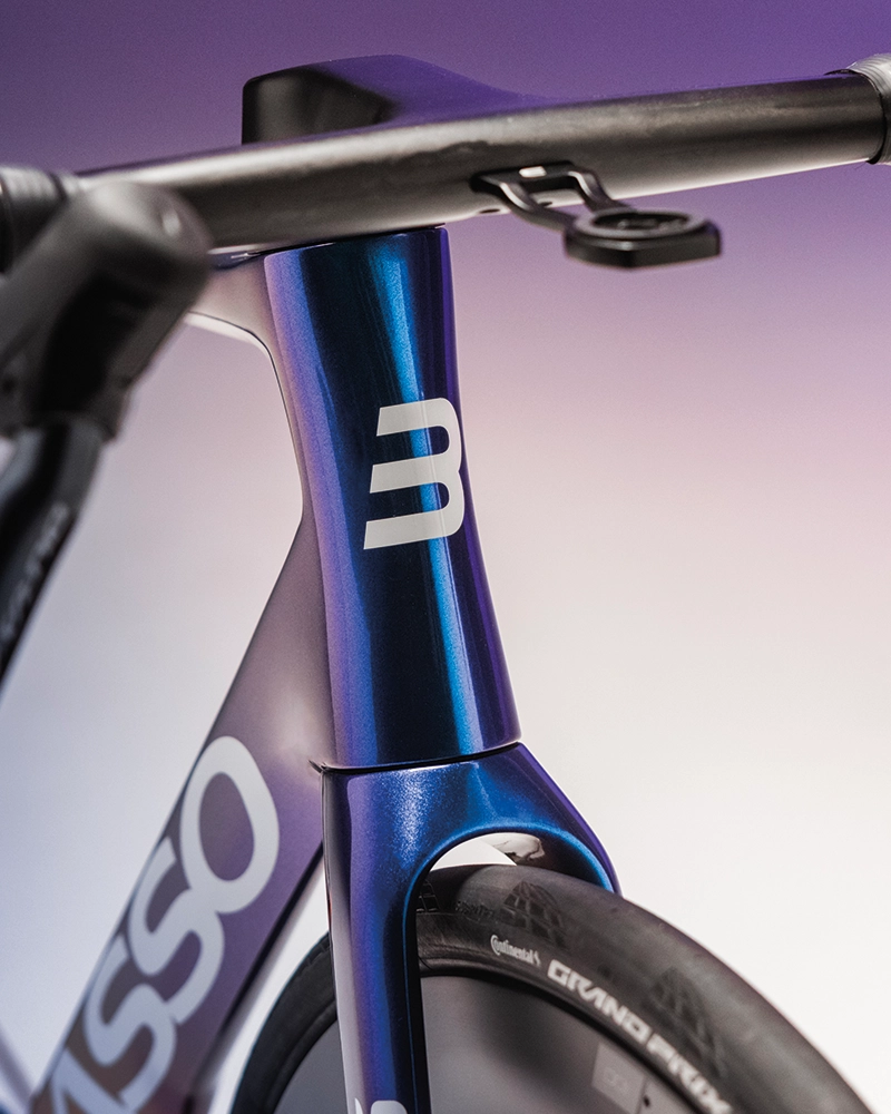 Basso SV Viola Galaxy - oficial 1