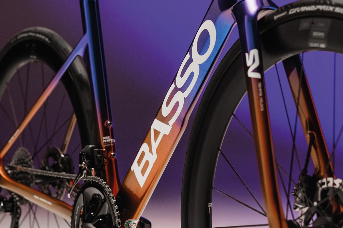 Basso SV Viola Galaxy - oficial 2