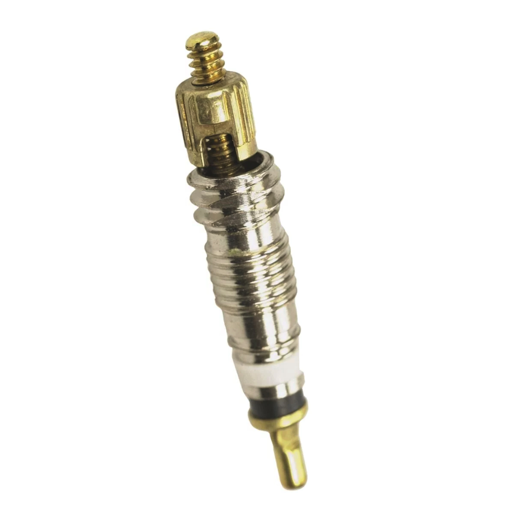 [AS0089] NUCLEO VALVULA FRANCESA STANS NO TUBES