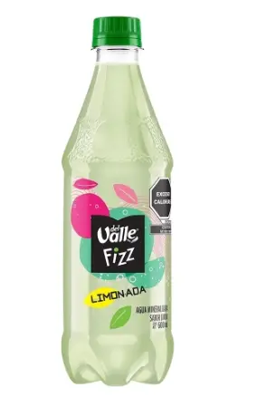 LIMONADA MINERAL DEL VALLE FIZZ 600 ML