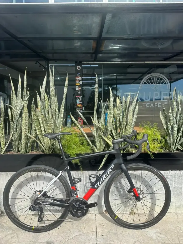 BICICLETA SEMINUEVA TRIESTINA GARDA TALLA M