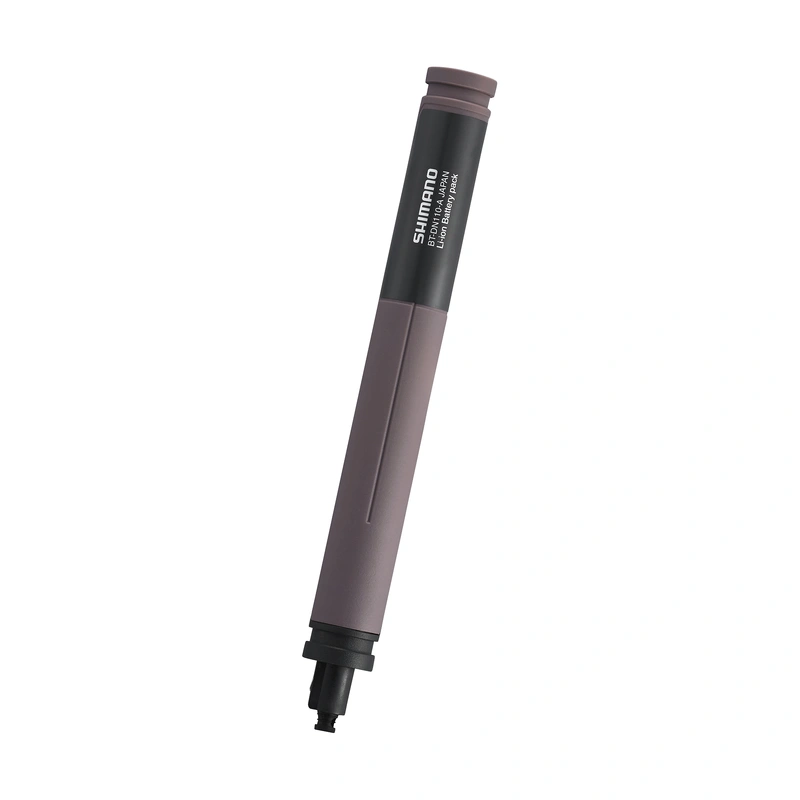 BATERÍA INTERNA BT.DN110.A PARA 11V