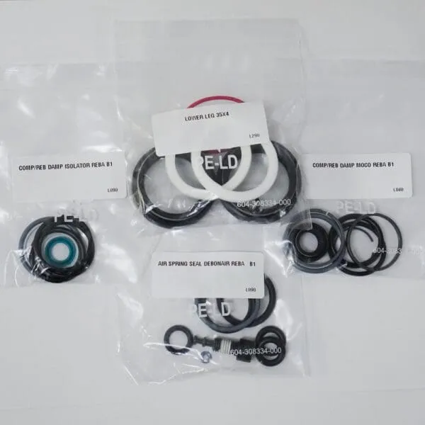 KIT DE SERVICIO 200 HORAS ROCKSHOX REBA RL/GOLD GEN B
